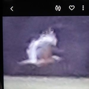 Meet your Posher, Gregory w